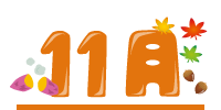11月
